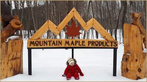 Mountain Maple Products – 100% Ontario Maple Syrup